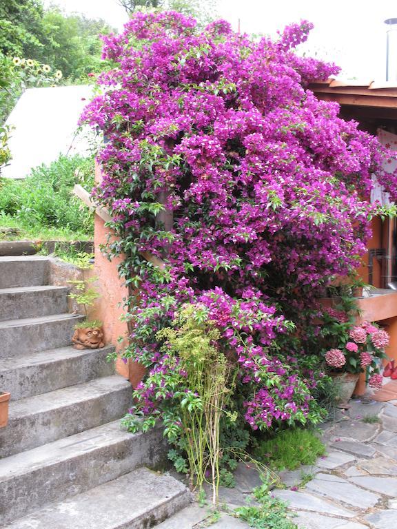 Casa Rural Enkartada Sopuerta Exteriér fotografie